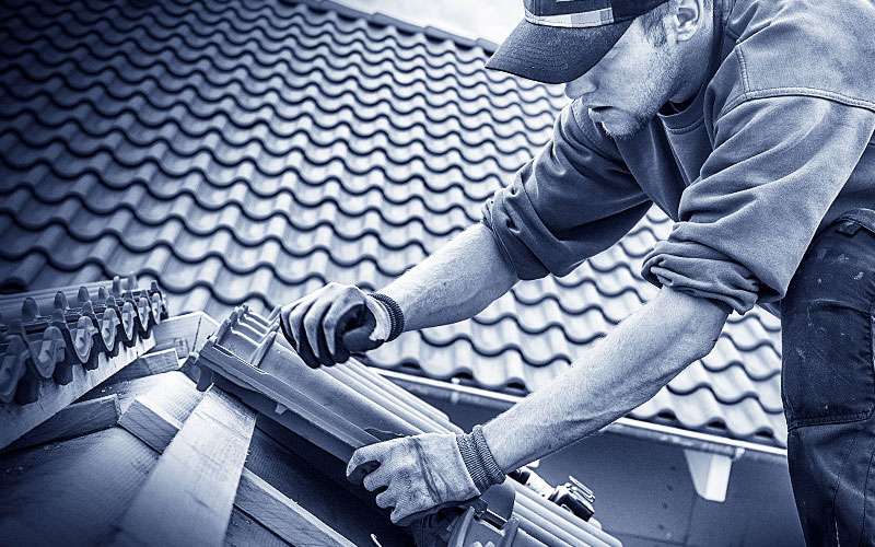 3 Dachdecker (V179307)